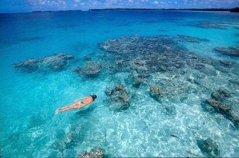Woman looking at coral while snorkeling in lagoon of Manihi Island, Pacific Ocean, South Pacific,