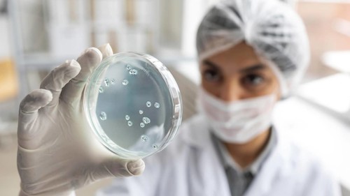 Close up blurry scientist holding petri dish. Resolution and high quality beautiful photo
