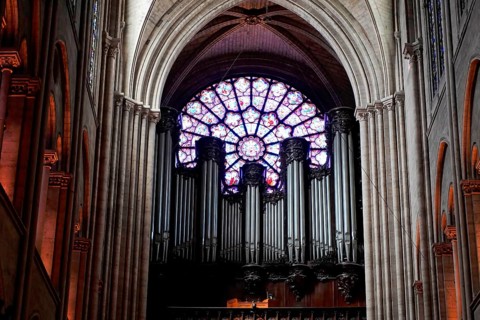 Notre-Dame de Paris Cathedral, Ille de la Cité, 4th arrondissement, Paris, France, Europe, Gothic