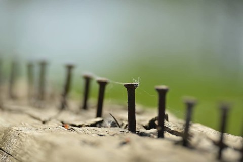 Close up view of weathered piece of wood, which hosts numerous rusted nails of different sizes