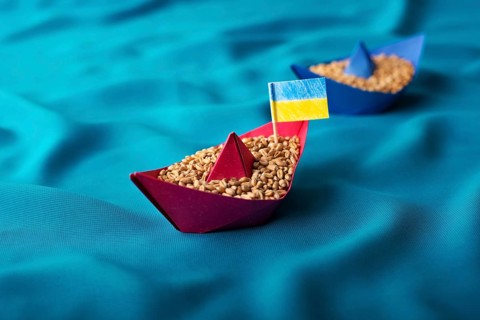 Ships with Ukrainian wheat grain made of paper concept
