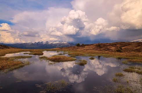 High moor, Schwendau, Zillertal, Tyrol lowlands, Tyrol, Austria, Europe