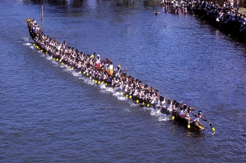 Birds eye view of snake Boat Racing at Payippad near Haripad, Kerala, South India, India, Asia