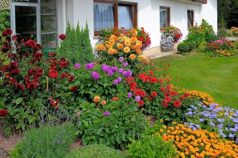 Baden-Württemberg, Black Forest house with flower garden in summer, different summer flowers in the
