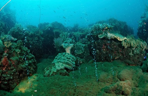 Volcanic gas bubbles, volcanic island, Sangean, Indonesia, Asia