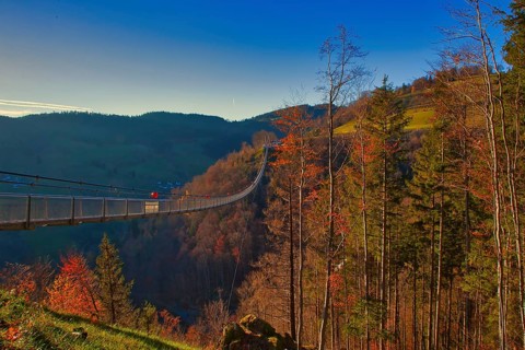 A suspension bridge floats over colourful autumn forests and a hilly landscape, Black Forest Line,