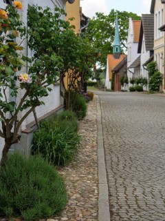 Paved street with well-kept gardens and terraced houses in an idyllic village, maasholm, germany