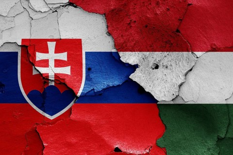 Flags of Slovakia and Hungary painted on cracked wall