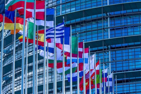 EU flags on poles in front of the Glass Fasadz building and the entrance to the European