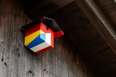 A nesting box for birds, songbirds, titmouse, sparrow, sparrow in the colours of the German and