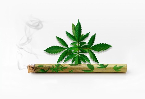 Cannabis joint