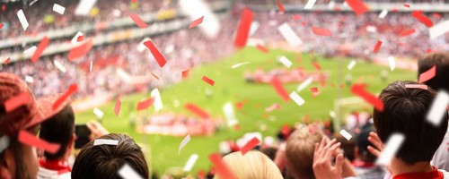 Fan Supporter Stadium Celebrating