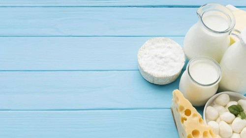 Top view variety tasty cheese with milk. Resolution and high quality beautiful photo
