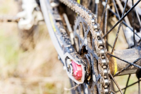 Rear wheel motorcycle trial and enduro. Mounted on the wheel gear and chain with spokes. Close-up