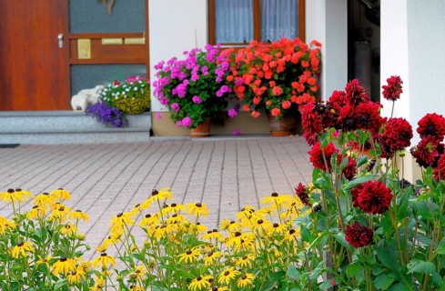 Baden-Württemberg, Black Forest house with flower garden in summer, different summer flowers in the