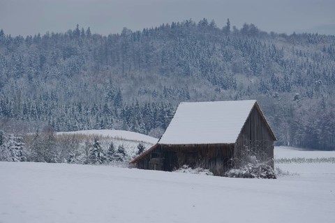 Onset of winter in the Swabian-Franconian Forest nature park Park, Swabian-Siberia, Schwäbisch