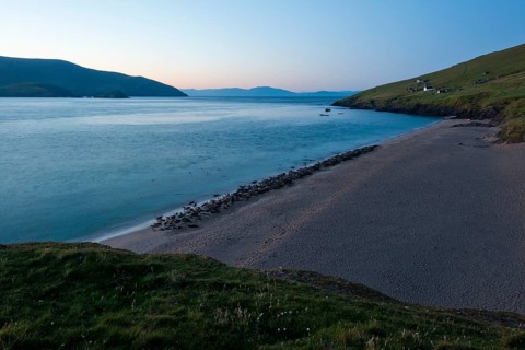 Hundreds of Seals at Sunrise on the Great Blasket Islands, Blasket Islands, Dunquin, Dingle