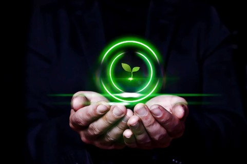Hands of a man holding an icon of a flowering plant. Environmental conservation concept