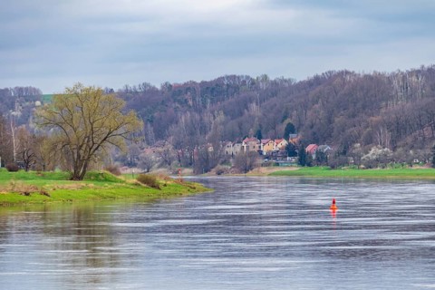 Elbe