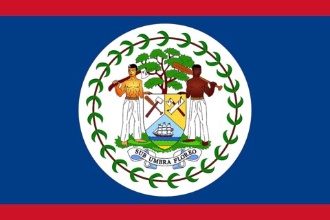 Flag of Belize, Vector illustration