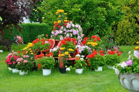 Flower pyramid in the garden