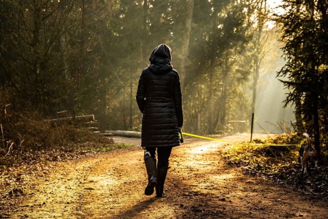 Girl in sun rays walking with beagle dog on leash in forest path