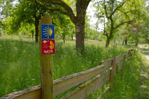 Hiking trails, martinusweg, martinus paths, jacobsweg, jagsttal, neusass, schoental, jagst,