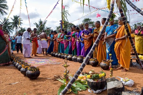 Villagers worshiping Pongal pots during Pongal celebration at Pollachi, Tamil Nadu, South India,