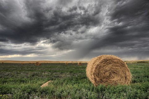 Hay Bale and Prairie Storm Alfalfa field