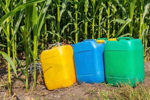 Pesticides in colored jerry cans at corn field with plants