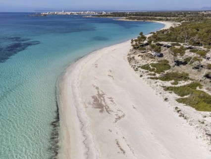 Es Carbo beach, Virgin sand beach without people, Ses Salines, Mallorca, Balearic Islands, Spain,