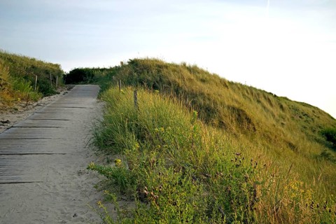 Dunes in the evening ligth @ the north sea coast of germany