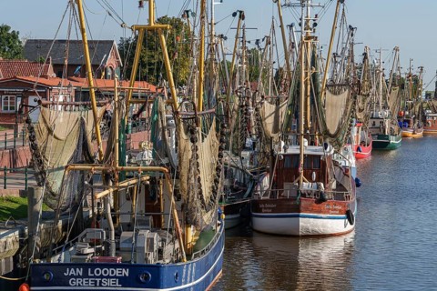 Many fishing boats with nets in a busy harbour area, Greetsiel, East Frisia, Germany, Europe