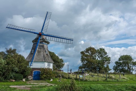 Traditional windmill in a rural setting, Neufeld, Dithmarschen, Schleswig-Holstein, Germany, Europe