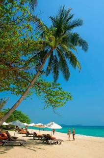 Chaweng Beach, Ko Samui Island, Thailand, Southern Thailand, Palm Beach, Palm Trees, Asia