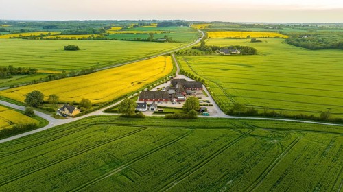 Aerial view, Denmark, Region Syddanmark, Christiansfeld, Agriculture and farms with grain and rape