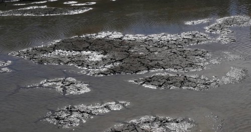 Water and Drought in the Marshes of Camargue, in the South East of France