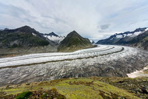 The Great Aletsch Glacier in the Swiss Alps