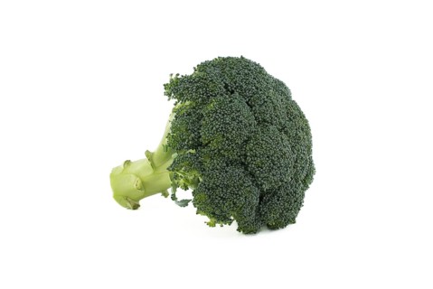 Fresh raw green broccoli florets isolated on white background