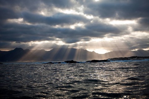 SUNSET ON SEAL ISLAND, FALSE BAY IN SOUTH AFRICA