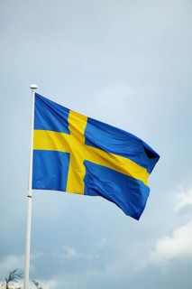 Suedish Flag