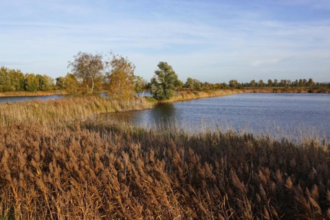 Linum im Herbst