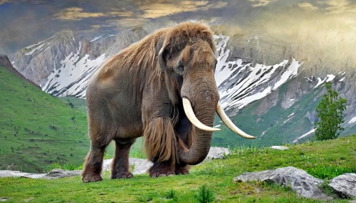 AI generated, animal, animals, mammal, mammals, biotope, habitat, a, individual animal, foraging,