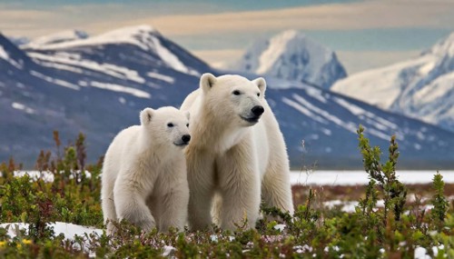 Ai generated, animal, animals, mammal, mammals, biotope, habitat, two, young, foraging, wildlife,