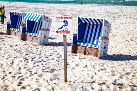 Dog beach on the west beach, Hörnum, Sylt