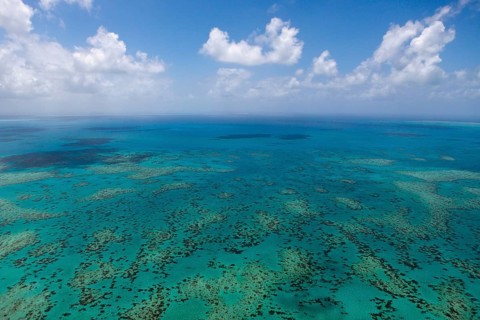 Aerial view of the Great Barrier Reef, Queensland, Australia, Oceania