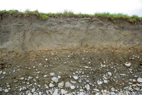A cutting shows layers of topsoil, sub soil and shingle in typical West Coast farmland, South