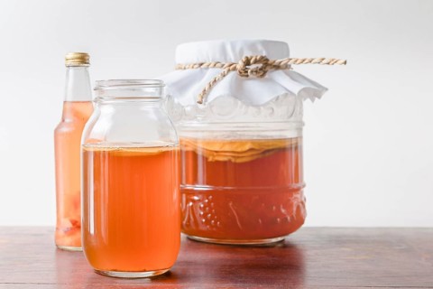 Kombucha tea popular fermented healthy drink natural high probiotics