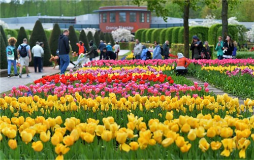 Keukenhof in the Netherlands has long been a magnet for international tourism, but it is