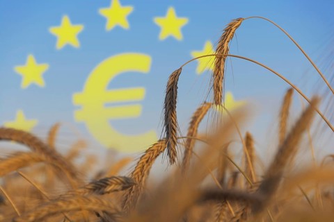 Agriculture subsidies in Europe